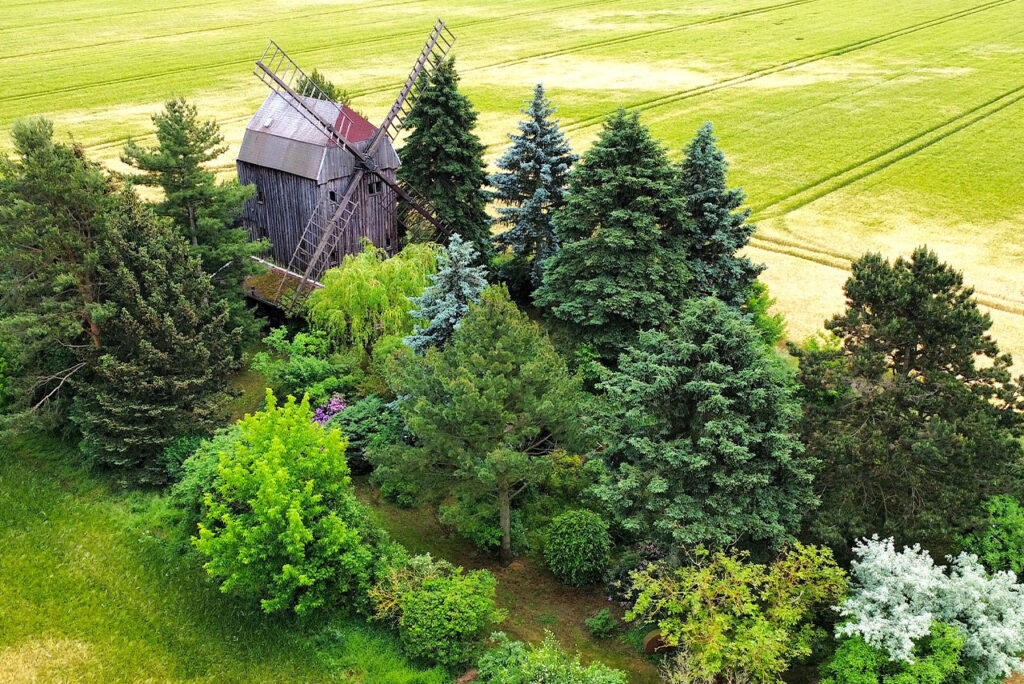 Bockwindmühle